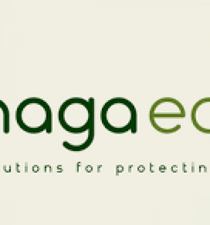 Naga Earth