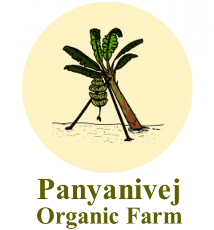Panyanivej